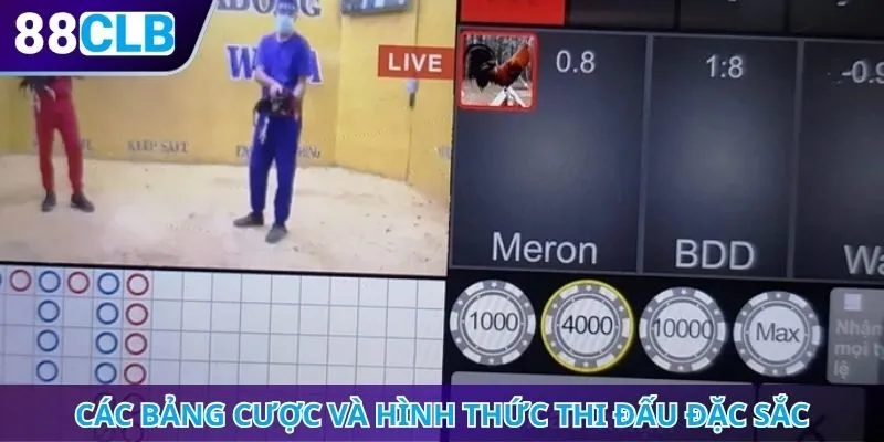 Các bảng cược và hình thức thi đấu đặc sắc