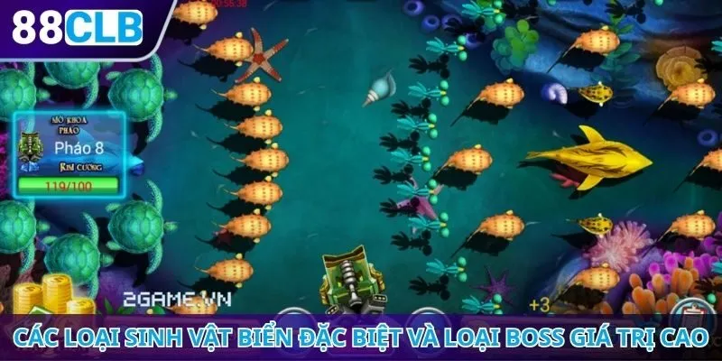 Các loại sinh vật biển đặc biệt và các loại boss giá trị cao