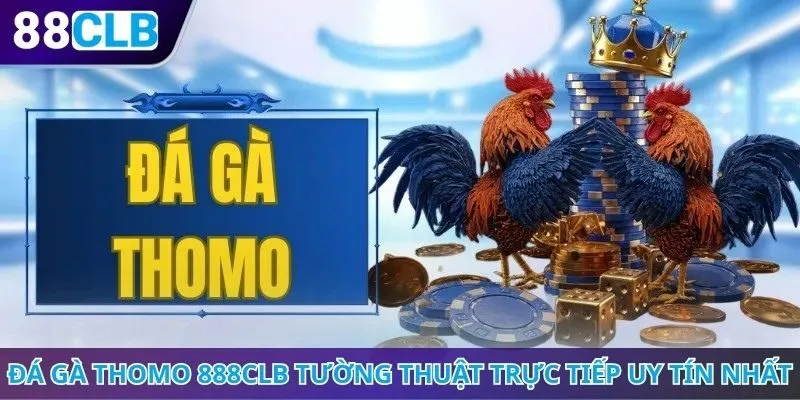 Đá gà Thomo 888CLB