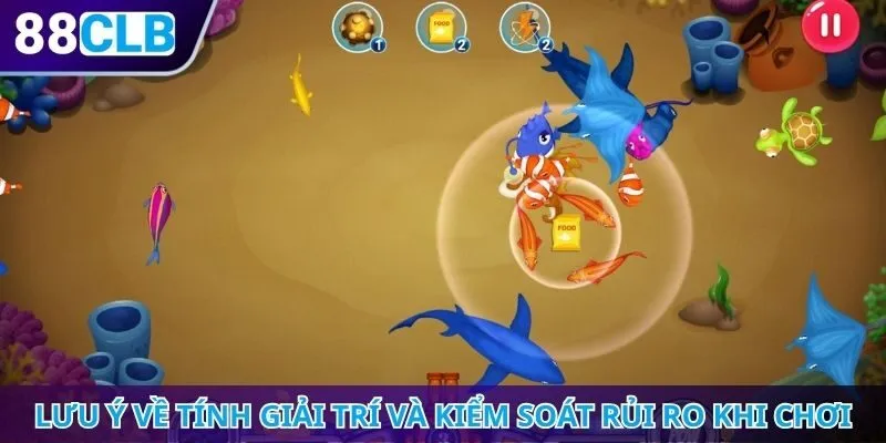 Lưu ý về tính giải trí và kiểm soát rủi ro khi chơi